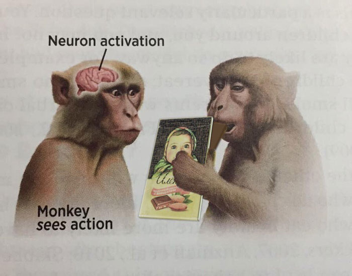 Hilarious-Science-Diagrams