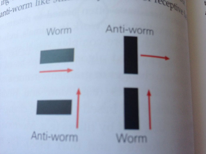 Hilarious-Science-Diagrams