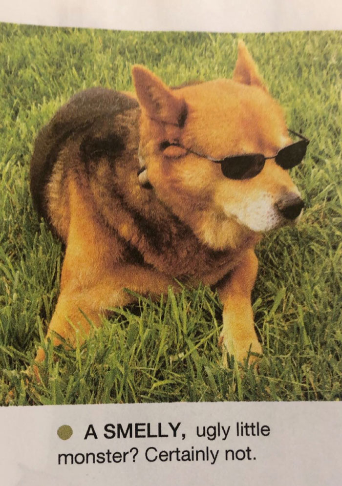 Hilarious-Science-Diagrams