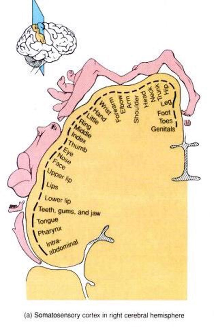 Hilarious-Science-Diagrams