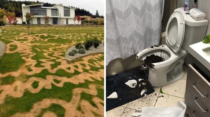 ‘Well, That Sucks’: 45 Times Homeowners Had Their Day Ruined