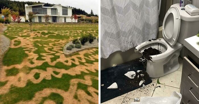 ‘Well, That Sucks’: 45 Times Homeowners Had Their Day Ruined