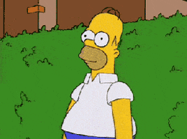 homer-bushes-gif-606e2a97b56ca.gif