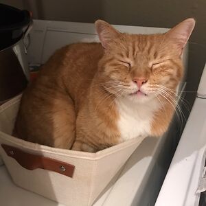 kristinspraberry avatar