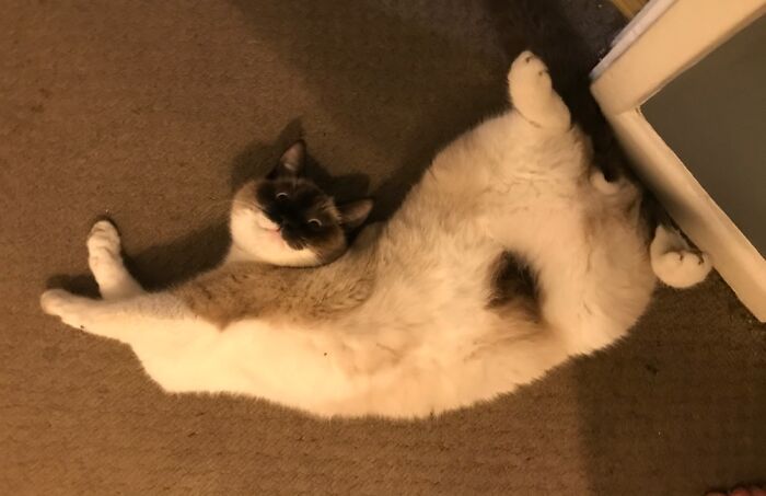 Barry White, How Can That Be Comfortable?