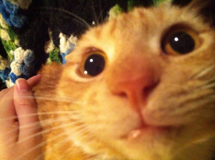 He Really Hates When I Sneeze.