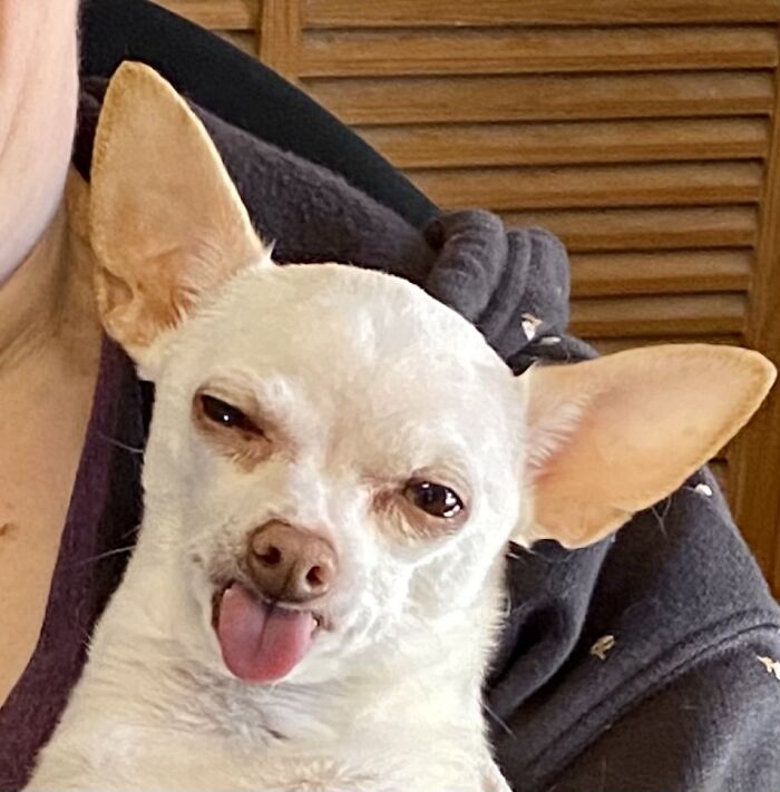 Susie Blowing Raspberries