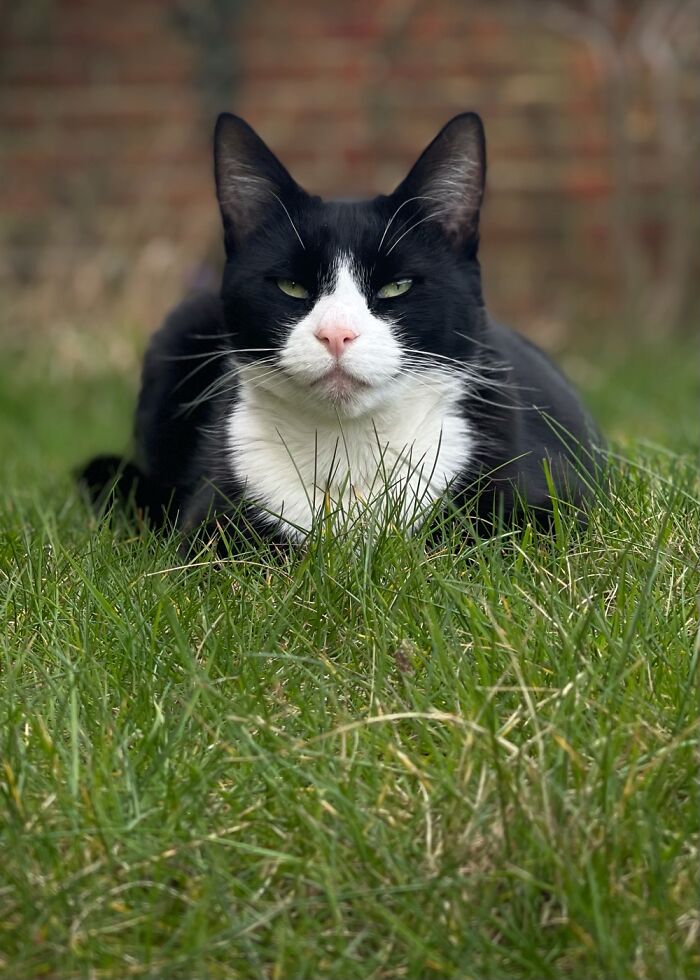 Can’t You See I’m Busy...?