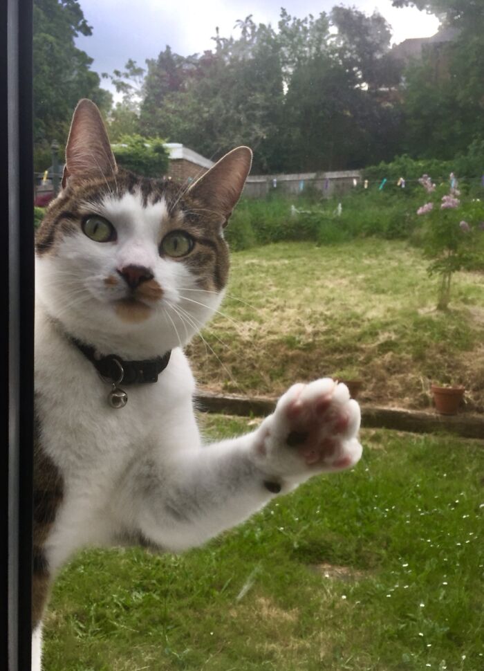 Huh... Excuse Me...?