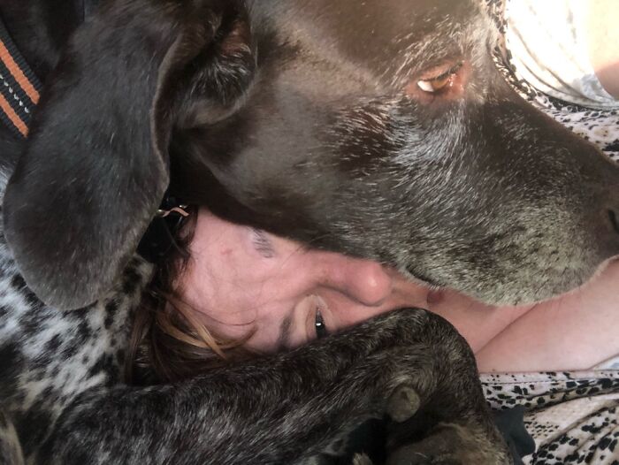 Well, At Least He’s Comfy.