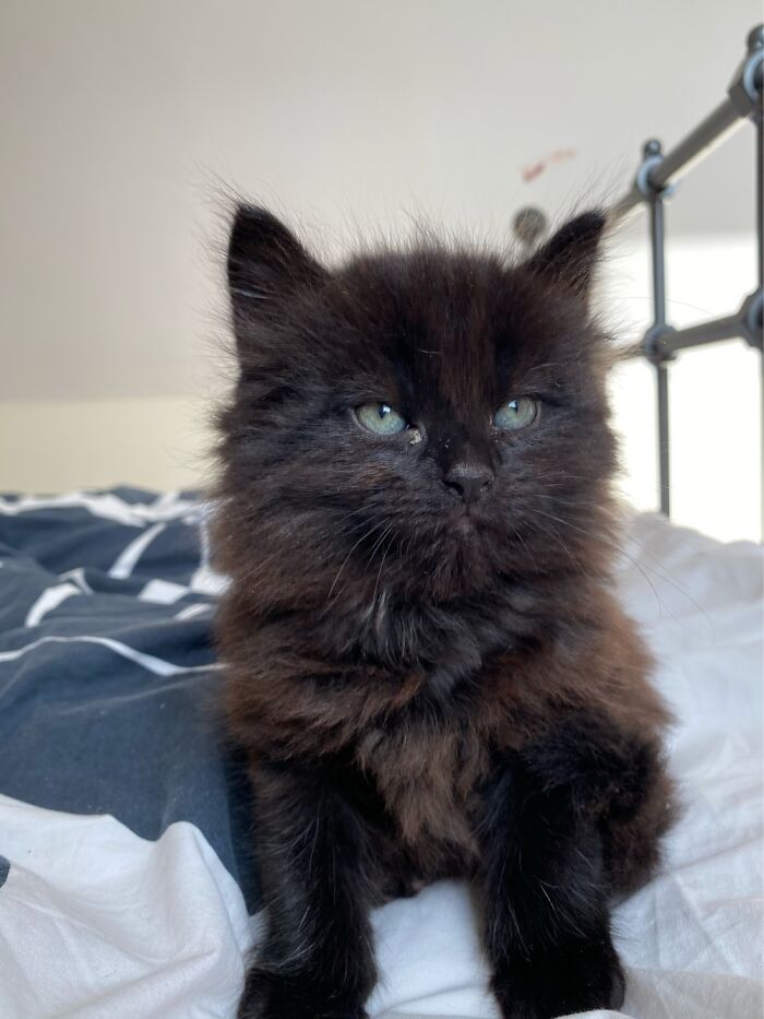 Day One Of Fluffball