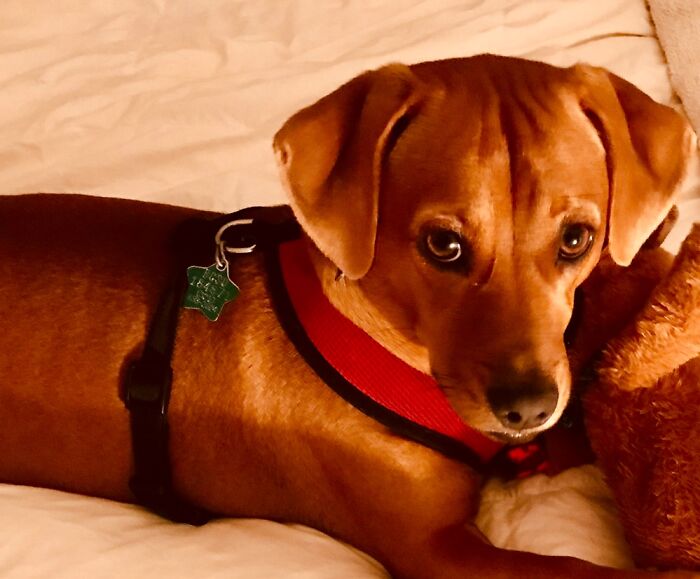 Shadows And Light...zoe