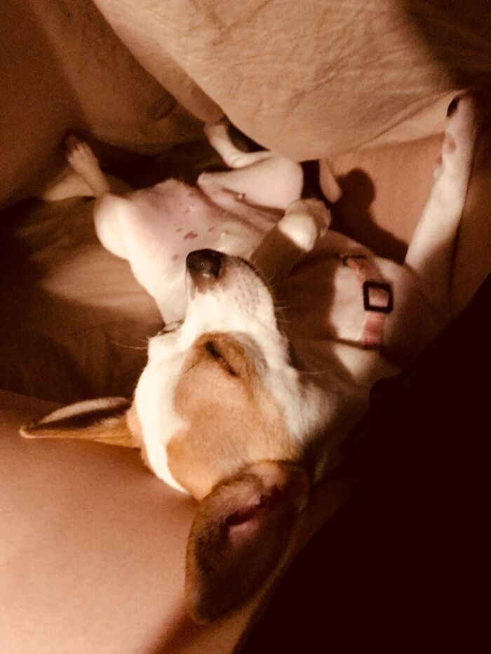 Shadows And Light...poppy