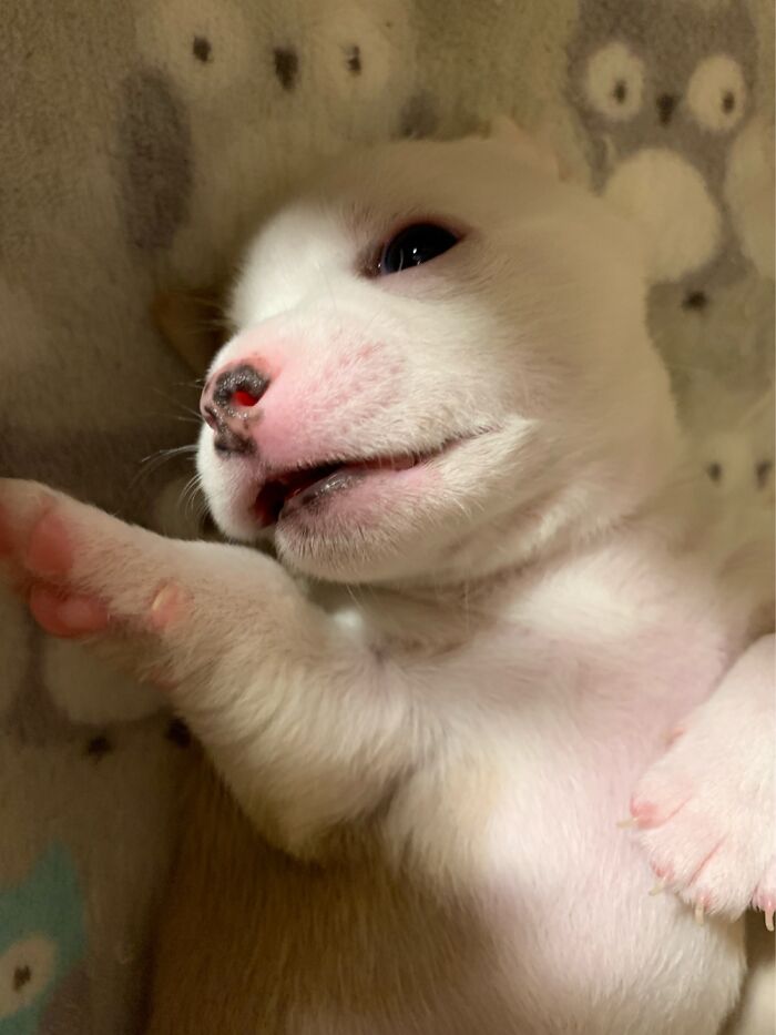 Shadows And Light...bo