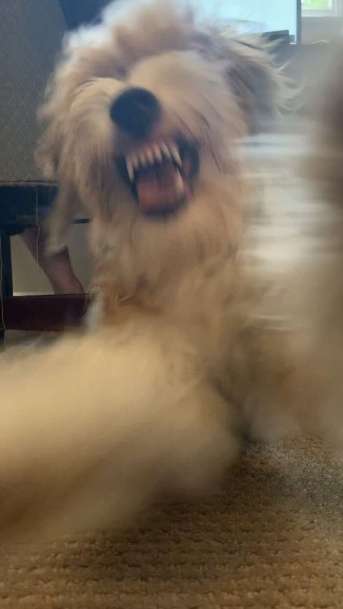 She's Actually Like This.