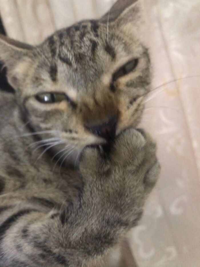 Tried To Copy The Famous Meme But Failed Hardly 😁