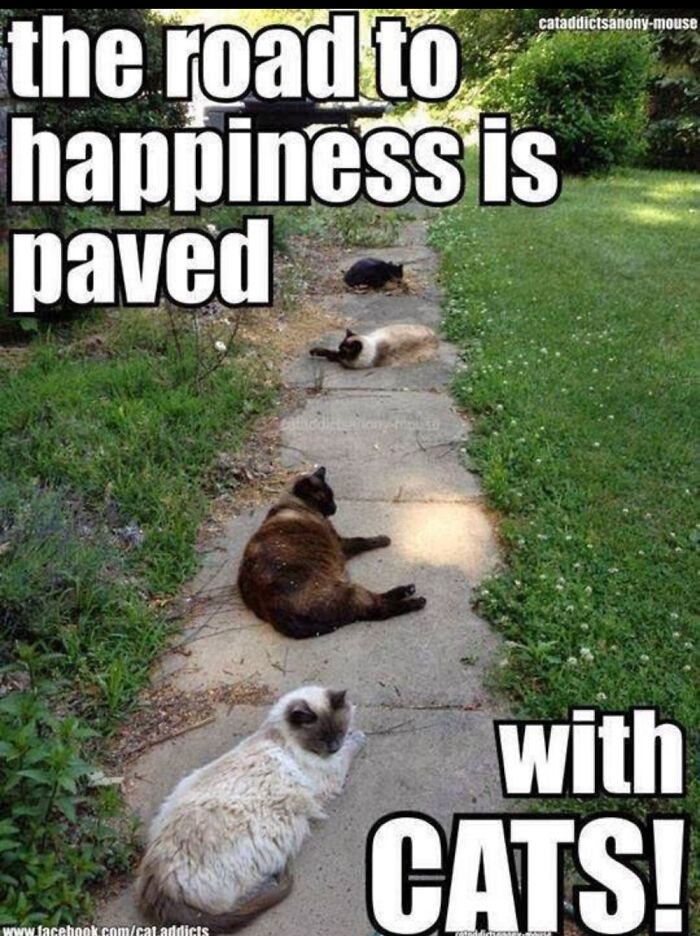 That’s It....no Further Description Required