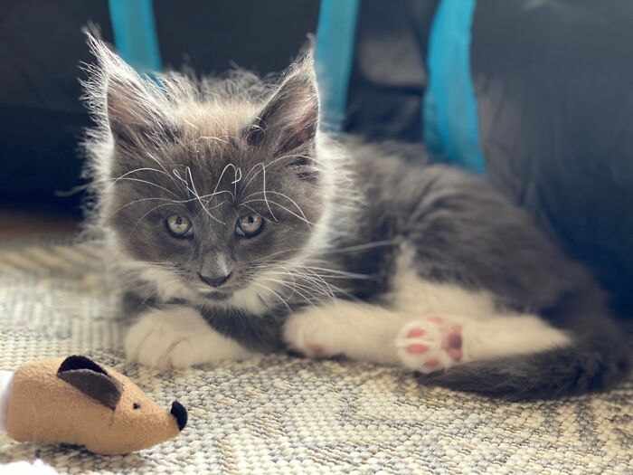 Chuck When He Was Little.