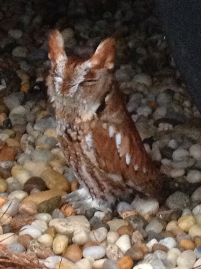 So Content Under My Truck