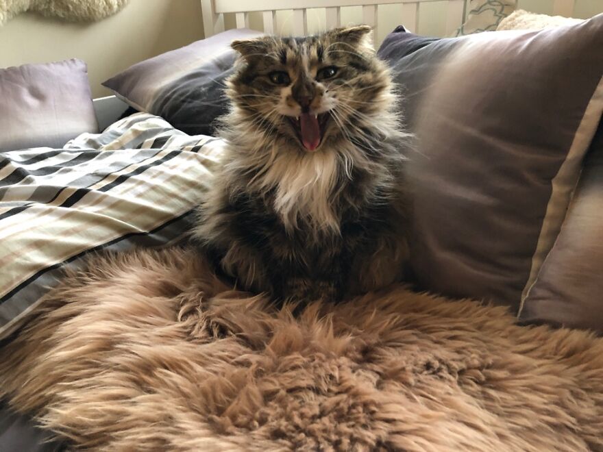 Sparrow, Playing Drama Queen.