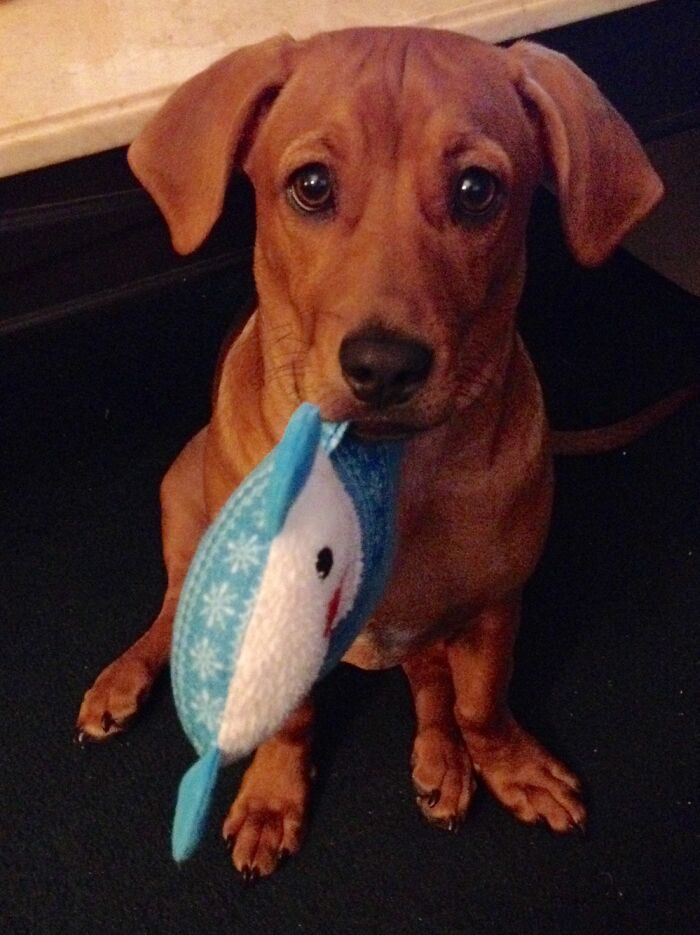 Zoe: Do You Want To Build A Snowman?