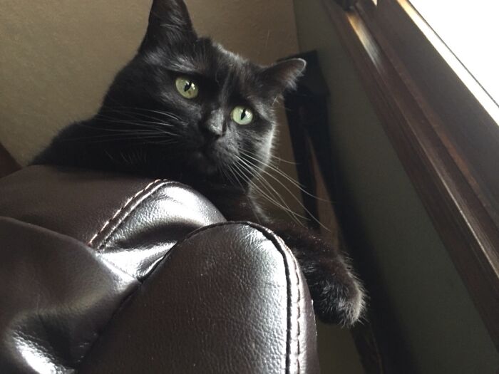 I’m Watching You...