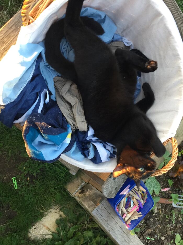 Protecting Clean Washing