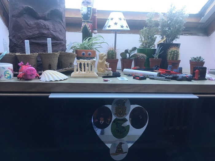 Do Plants Count? Apologies For The Bad Photo Quality