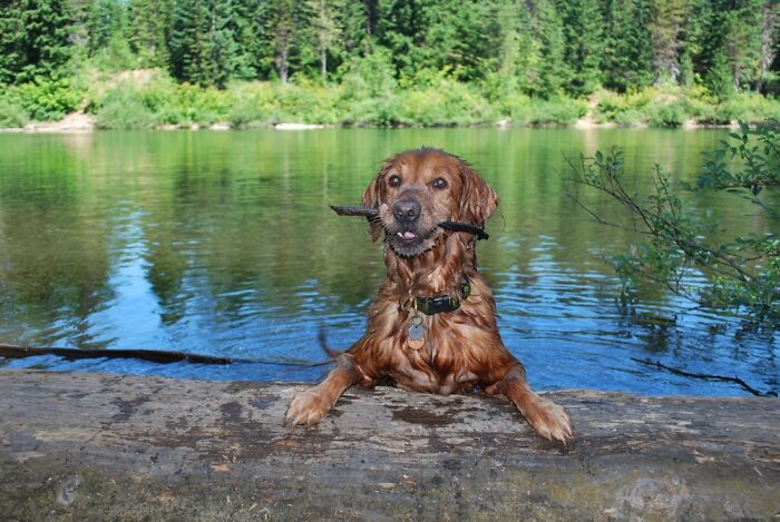 2006-2010 Hood Times