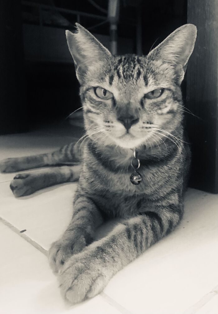 My Baby Gurl Marimar