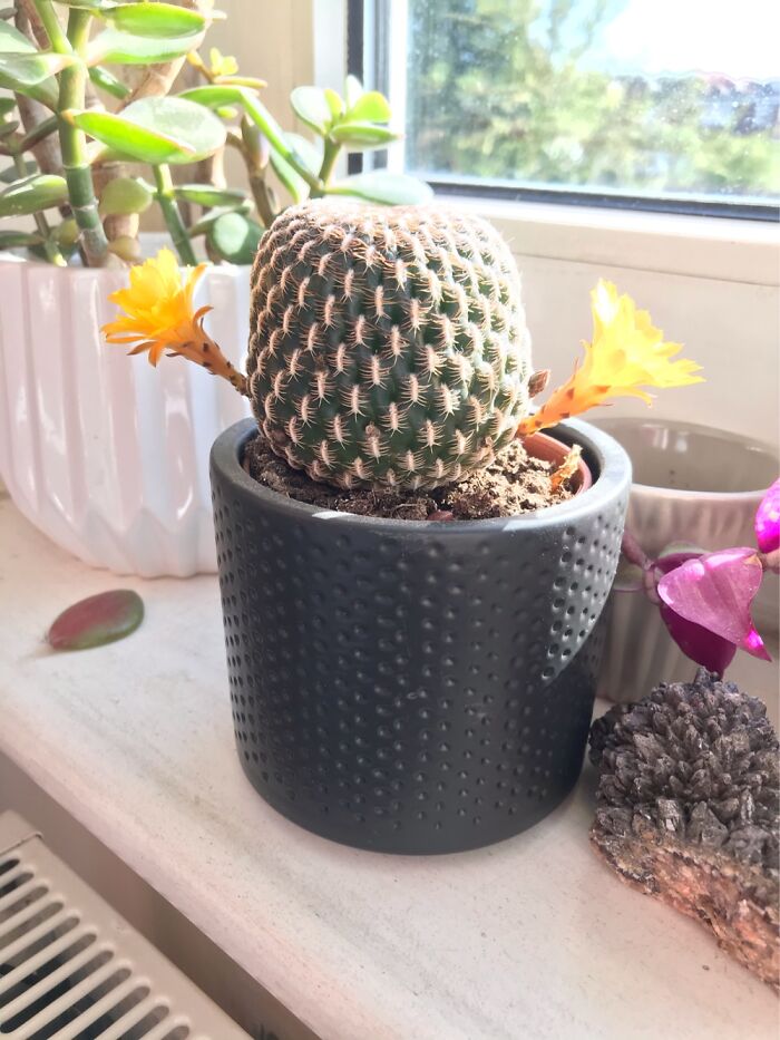 I Thought She Looked Like A Cheerleader