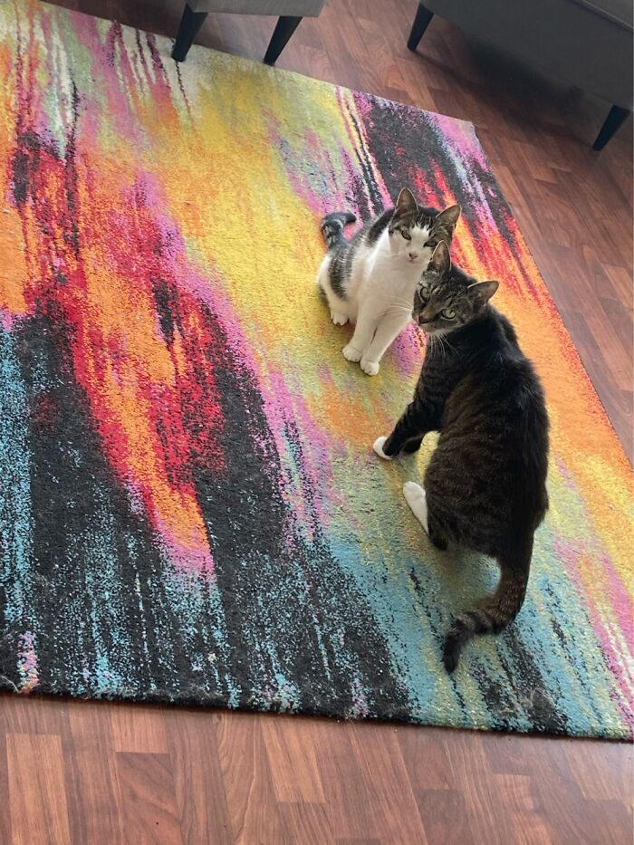 Bonnie & Clyde, 17 This Summer