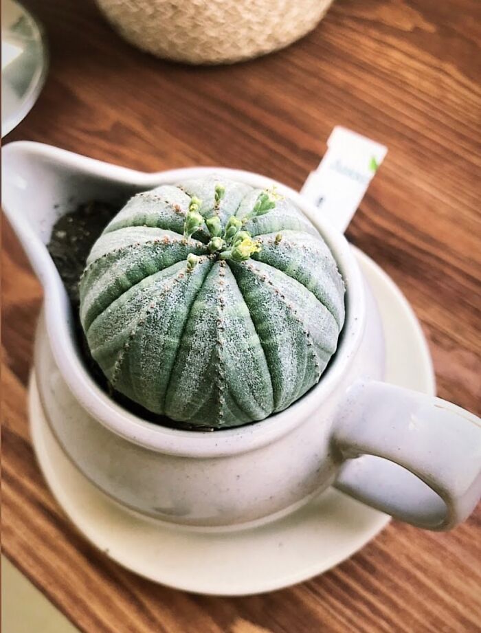 This Beautiful Lady. (The Only One With Her Own Picture Taken!)