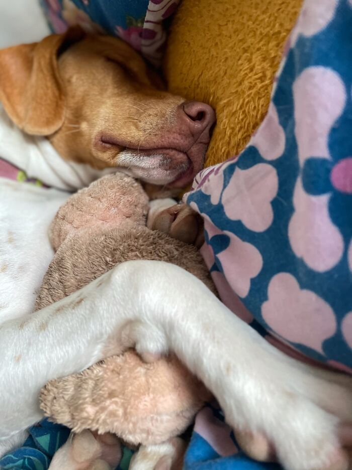 My Princess Ella 8 Months Old 💕😘