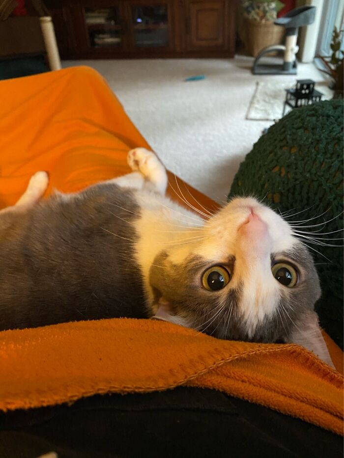 My House Demon, Nanny, Reminding Me Why I Haven’t Killed Her Today