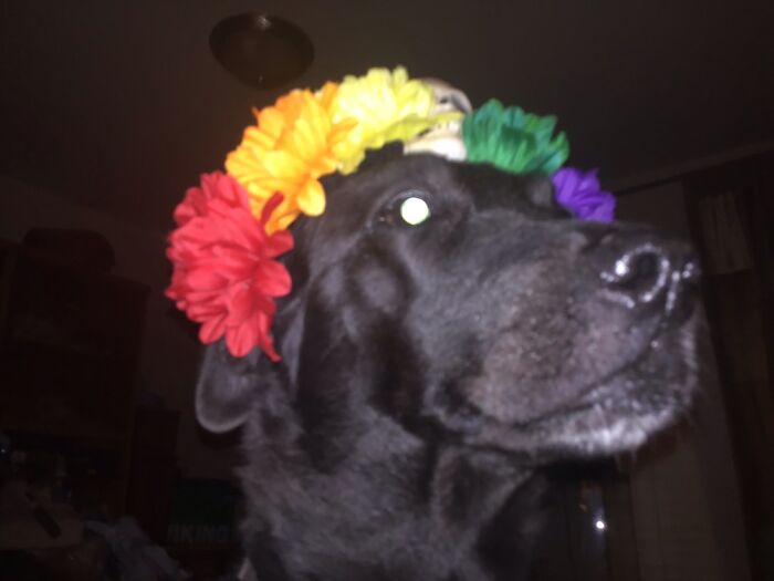 My Jade Loves To Dress Up