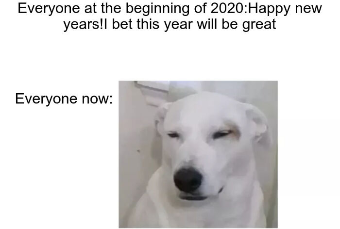 Old Meme(Made Last Year)