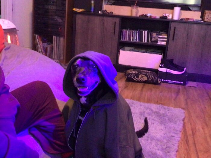 I’m Not Good With Memes But Here Is My Best Of Bois At 12 Hangin Out For Drinks