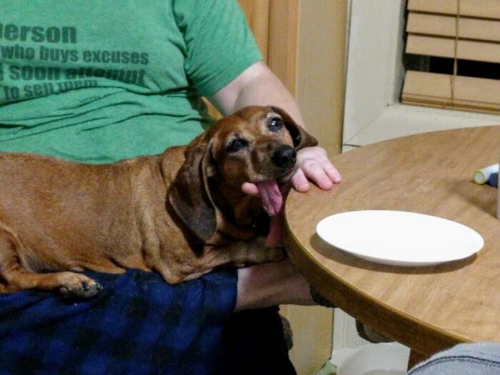 Then 12 Year Old Buckeye