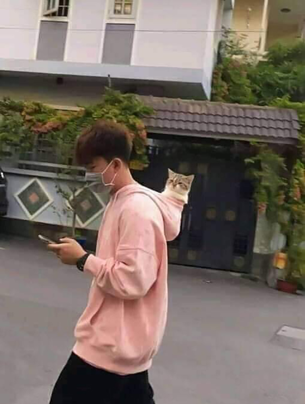 Important-Animal-Images-Funny-Pics