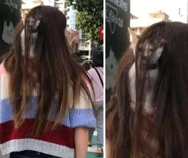 Important-Animal-Images-Funny-Pics