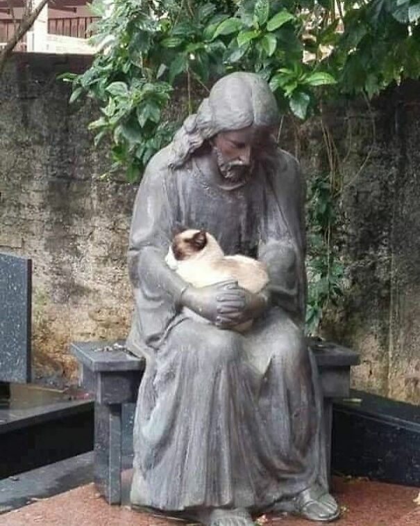 jesus-cat-6066932f35017.jpg
