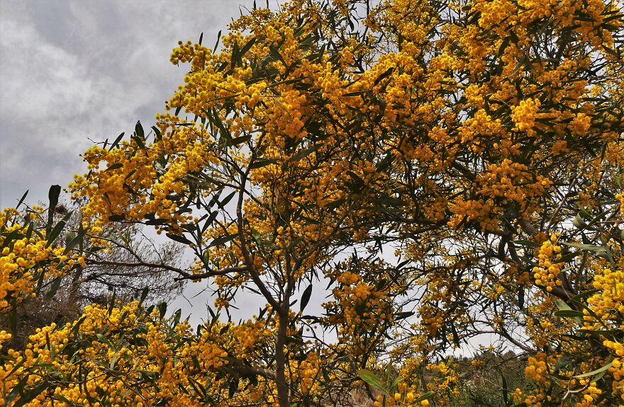 I Explored Poikilo Mountain In Attica Greece (17 Pics)