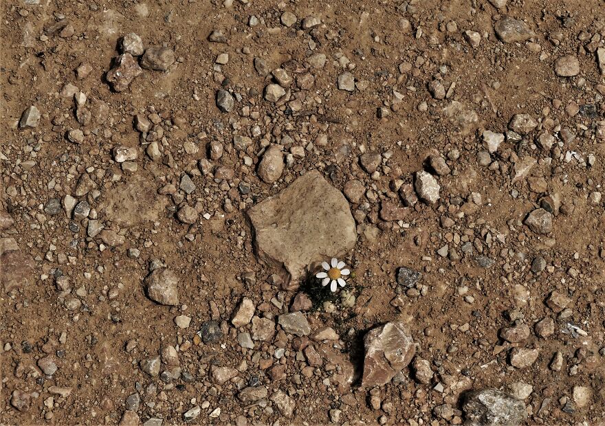 I Explored Poikilo Mountain In Attica Greece (17 Pics)