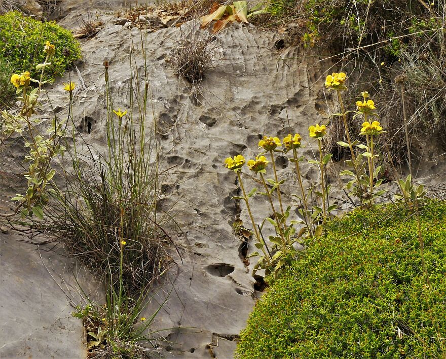 I Explored Poikilo Mountain In Attica Greece (17 Pics)
