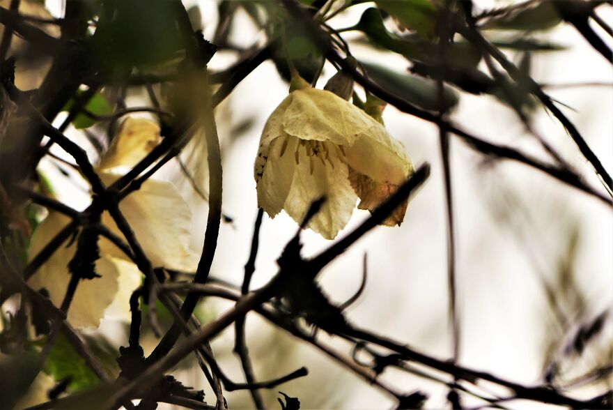 I Explored Poikilo Mountain In Attica Greece (17 Pics)