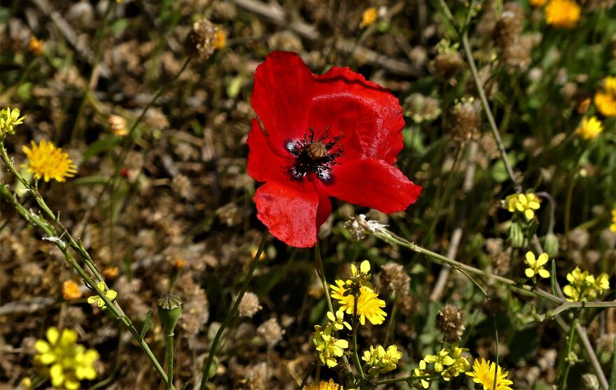 I Explored Poikilo Mountain In Attica Greece (17 Pics)