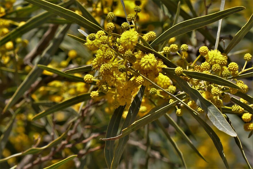 I Explored Poikilo Mountain In Attica Greece (17 Pics)