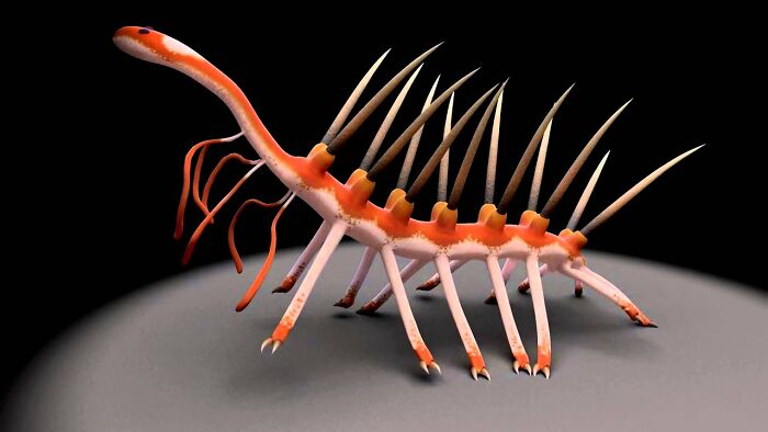 Hallucigenia: The Worm With The Missing Head