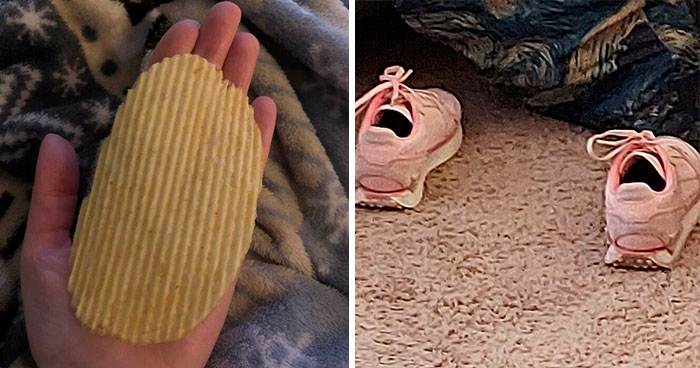 50 Personas que vieron algo “bastante interesante” y lo documentaron en este grupo online (nuevas imágenes)